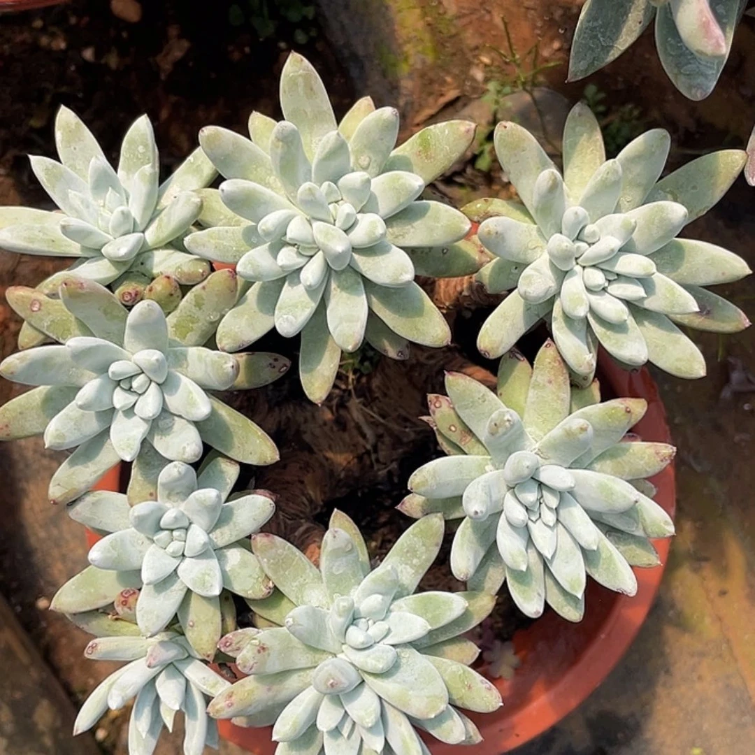 【闪购商品】瑕疵特价不售后