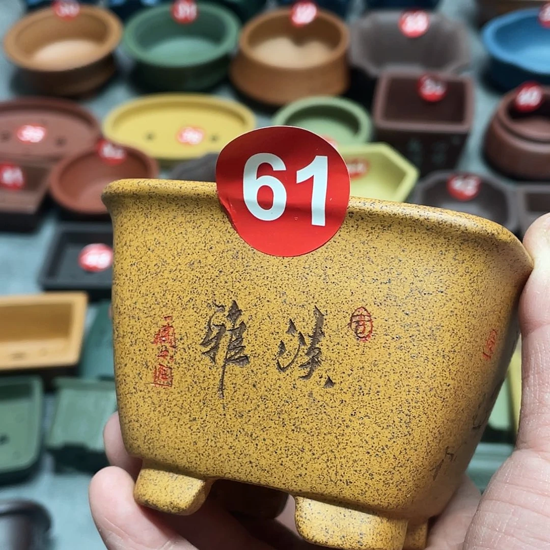 紫砂小盆8.5*5.5cmmmm