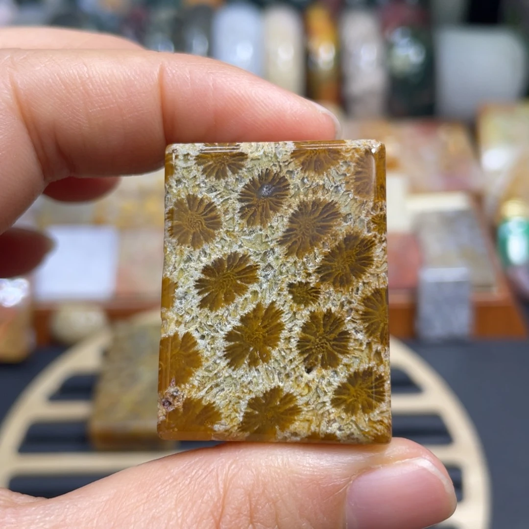 硅化玉未镶嵌颈饰k22