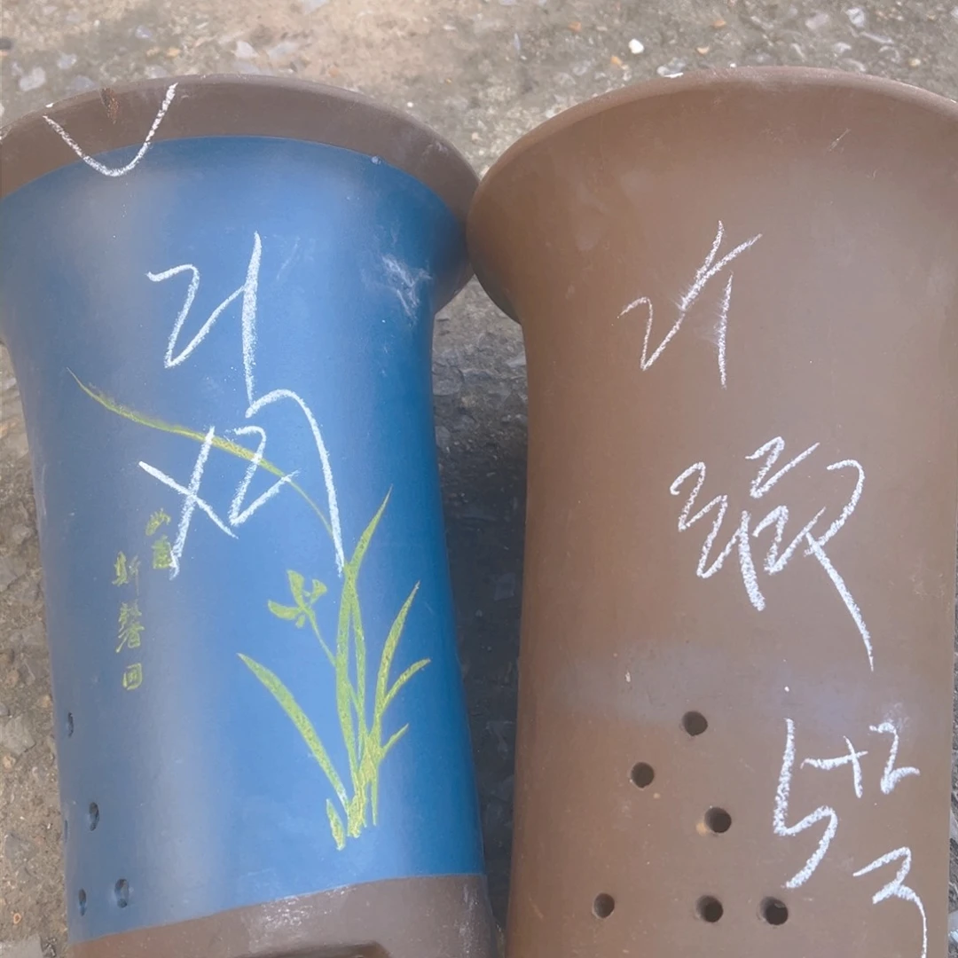 紫砂5号。。…………………………………………