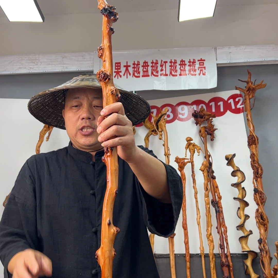 黑果木其他黑果木375
