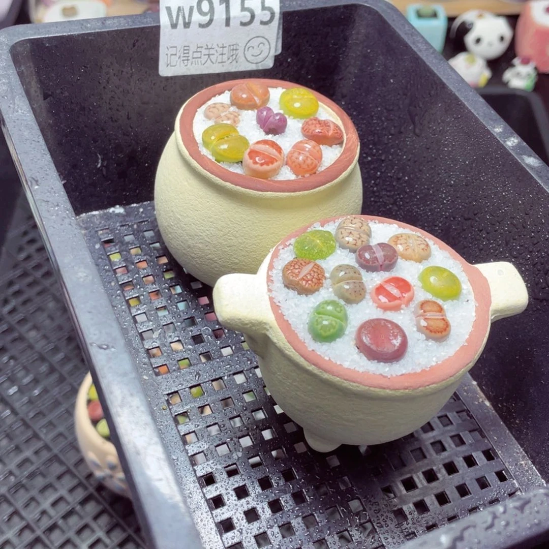 w9155-圆锅锅圆肚肚一份2盆量拍