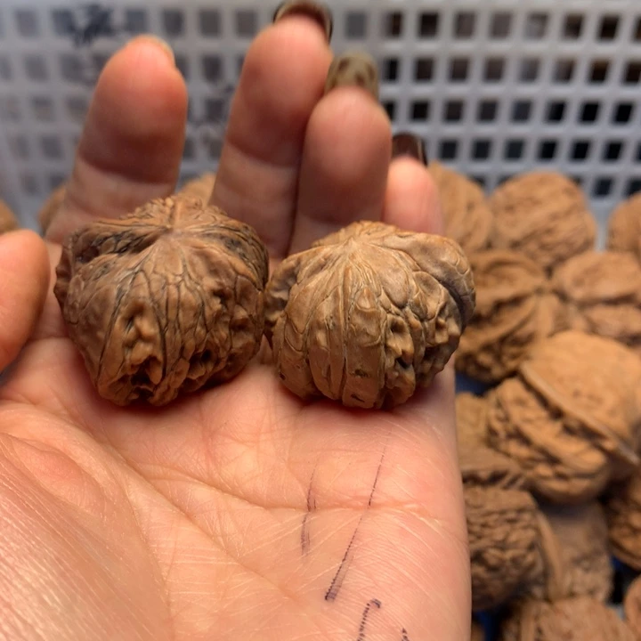 天***.大叶紫檀（黑酸枝木类）核桃