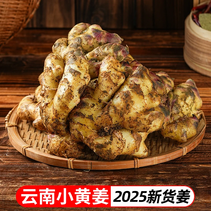 2025年云南小黄姜新鲜姜嫩姜仔姜2斤3斤当季蔬菜TY