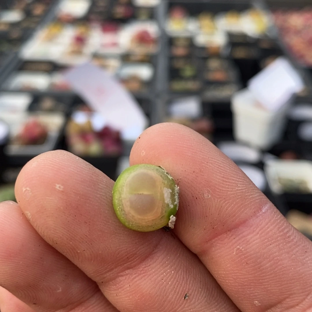 9128一个一个一个