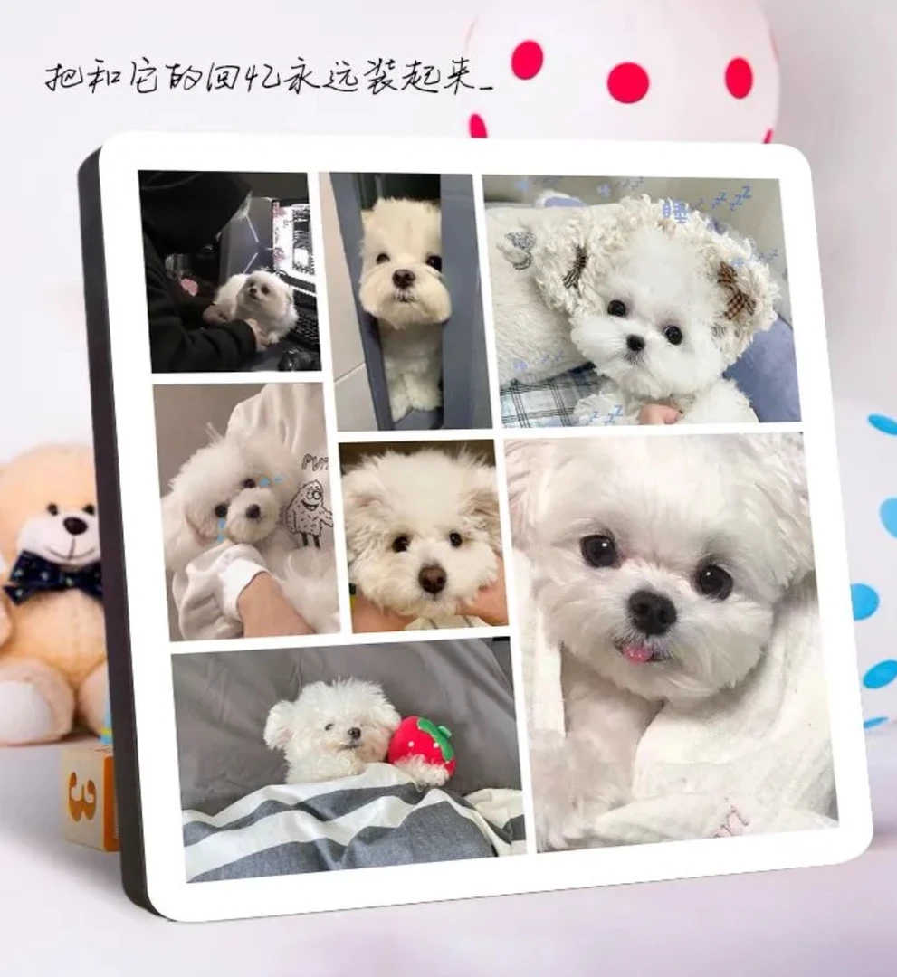 宠物纪念礼品猫咪狗狗相框洗照片做成相框照片定制水晶相片摆台