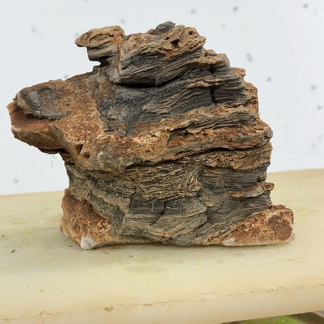 【闪购商品】香榧木云*这样才可以的感觉是一个人