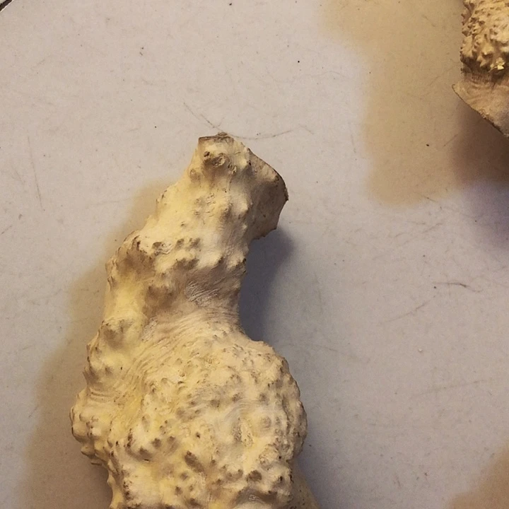 想***啥木木料木料木料木料