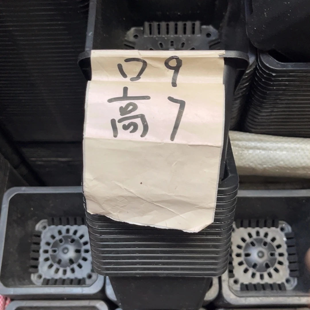 中厚口9高7黑盆10个无托