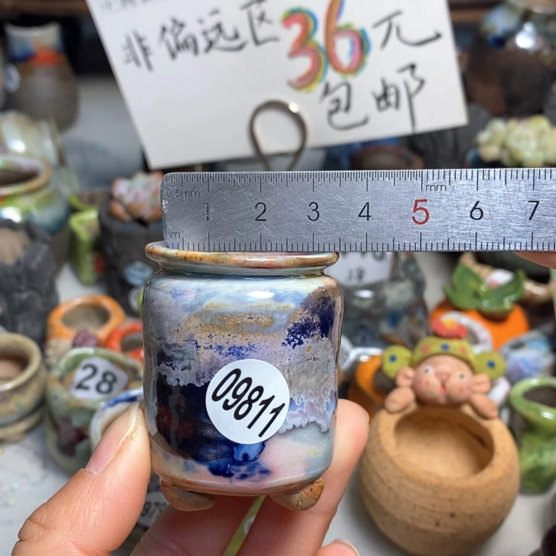 拍5送一个小礼物花盆