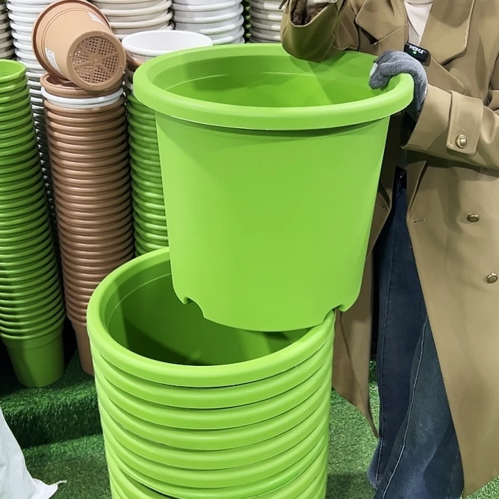 微瑕9号四季口46高40果绿无托4个