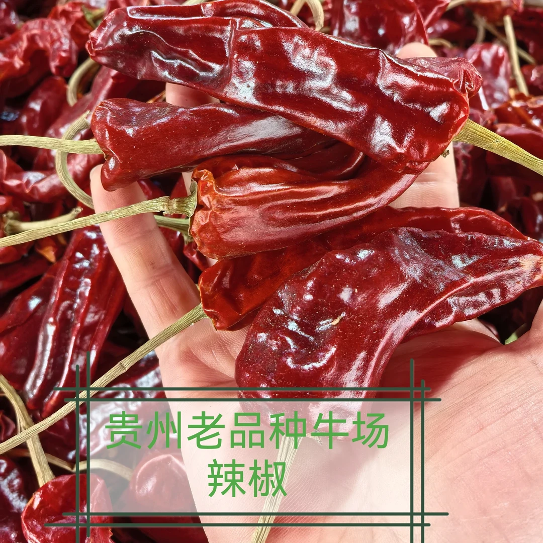 农家无添加天然辣椒