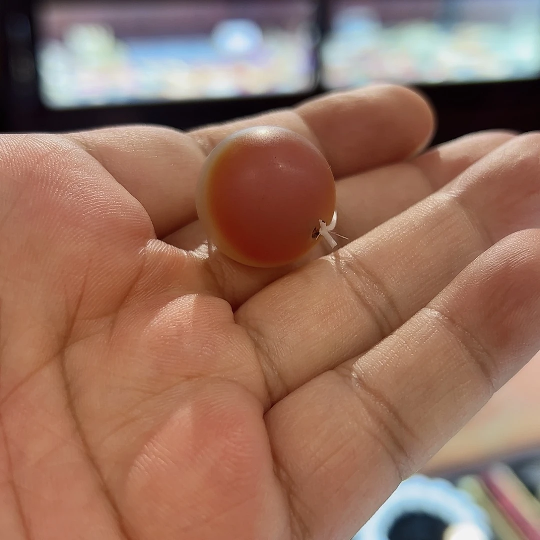 玛瑙/玉髓颈饰未镶嵌干*学