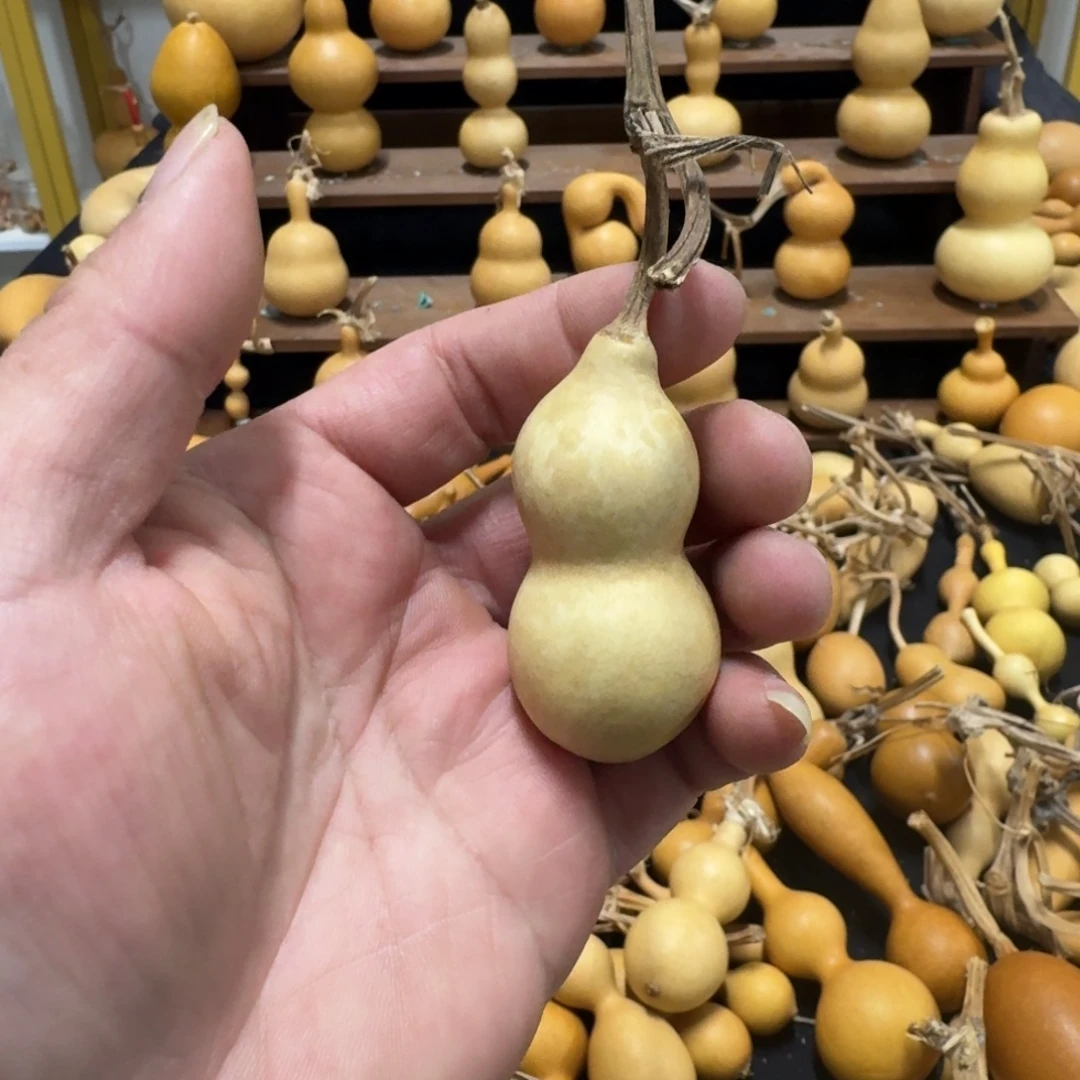 精品系列产品葫芦