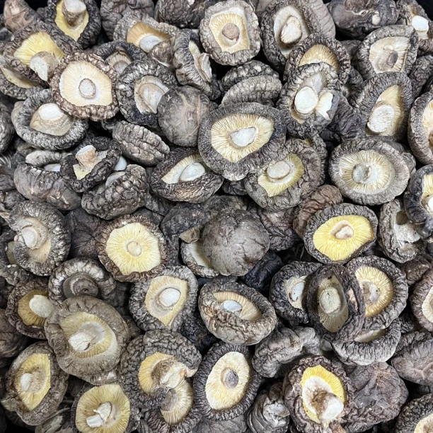 【高品质】大中小干香菇·农家自产干香菇菇香浓郁肉质肥厚产地直发