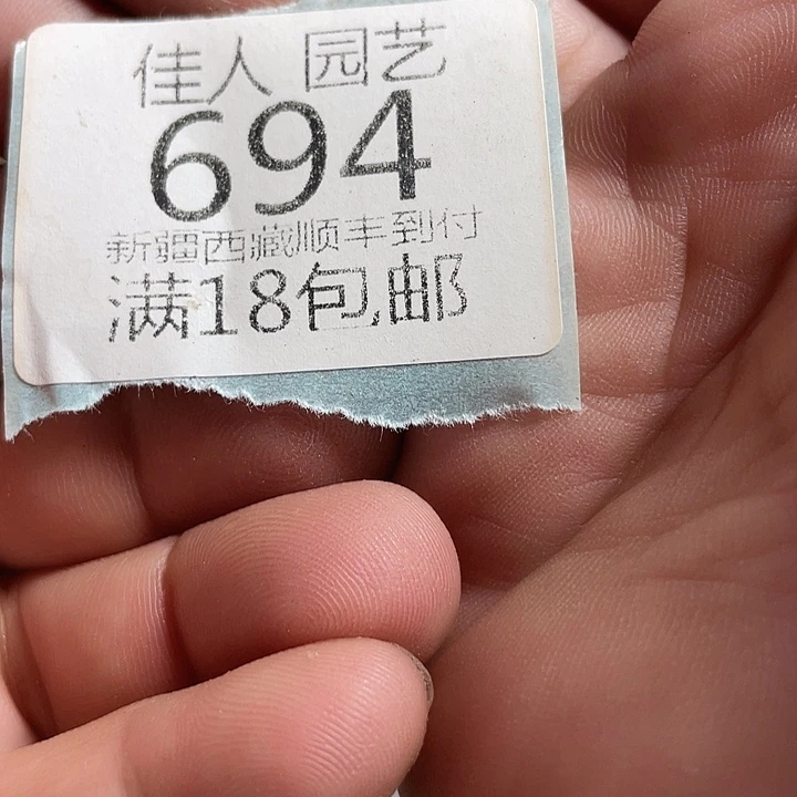 v***昕佳人园艺多肉生石花694