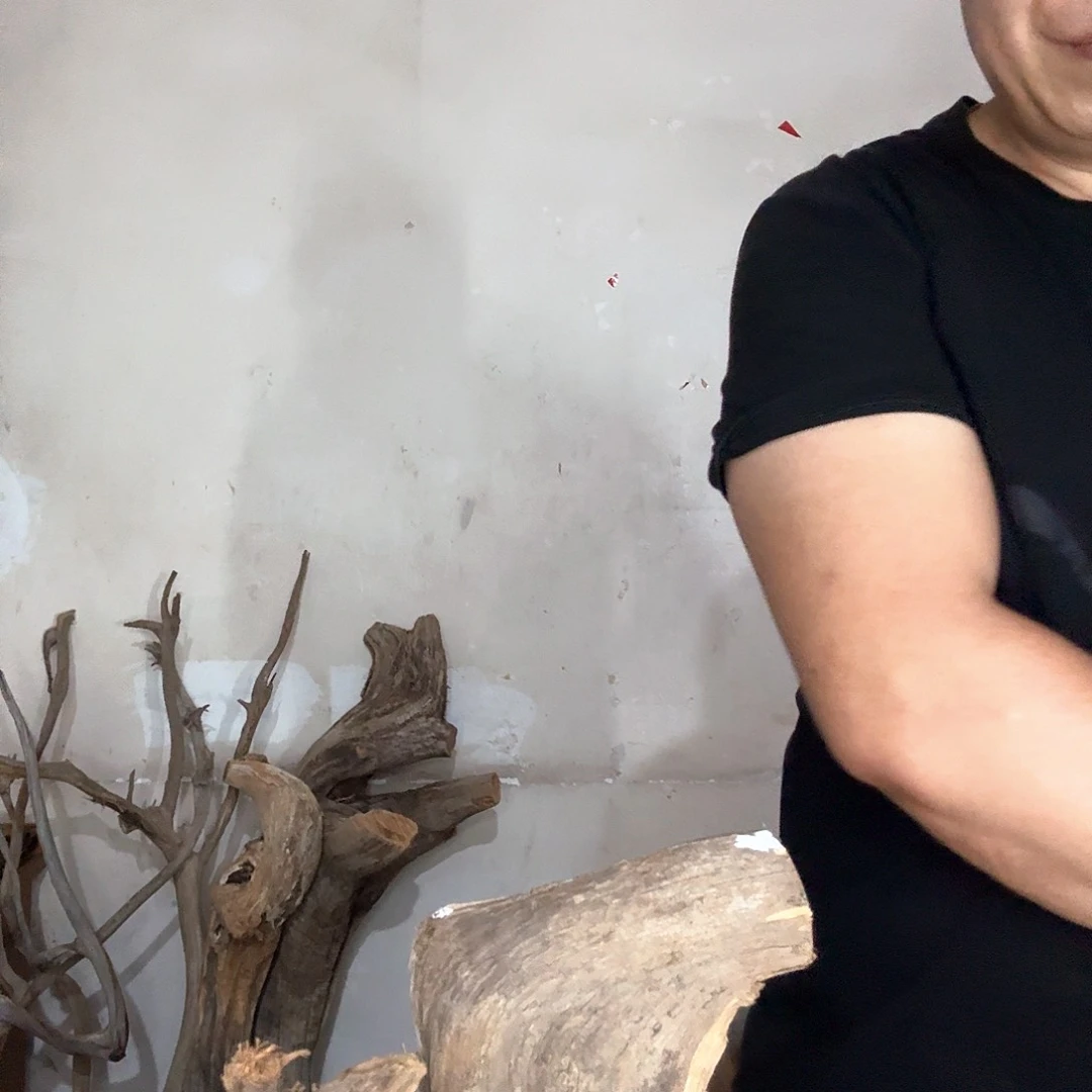 福***将木太行崖柏摆件摆件