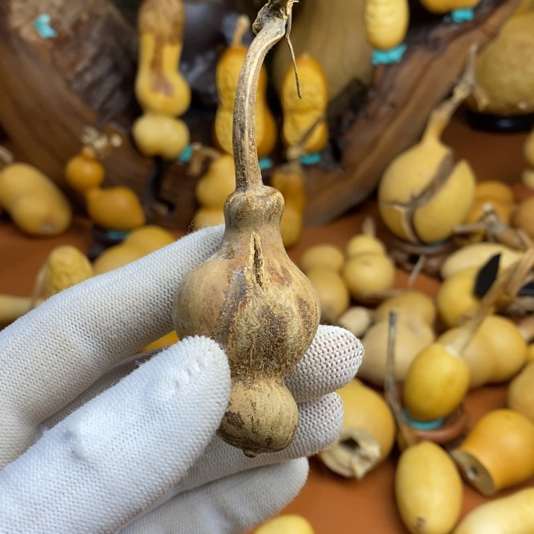 ****教练咯哭教练咯教练