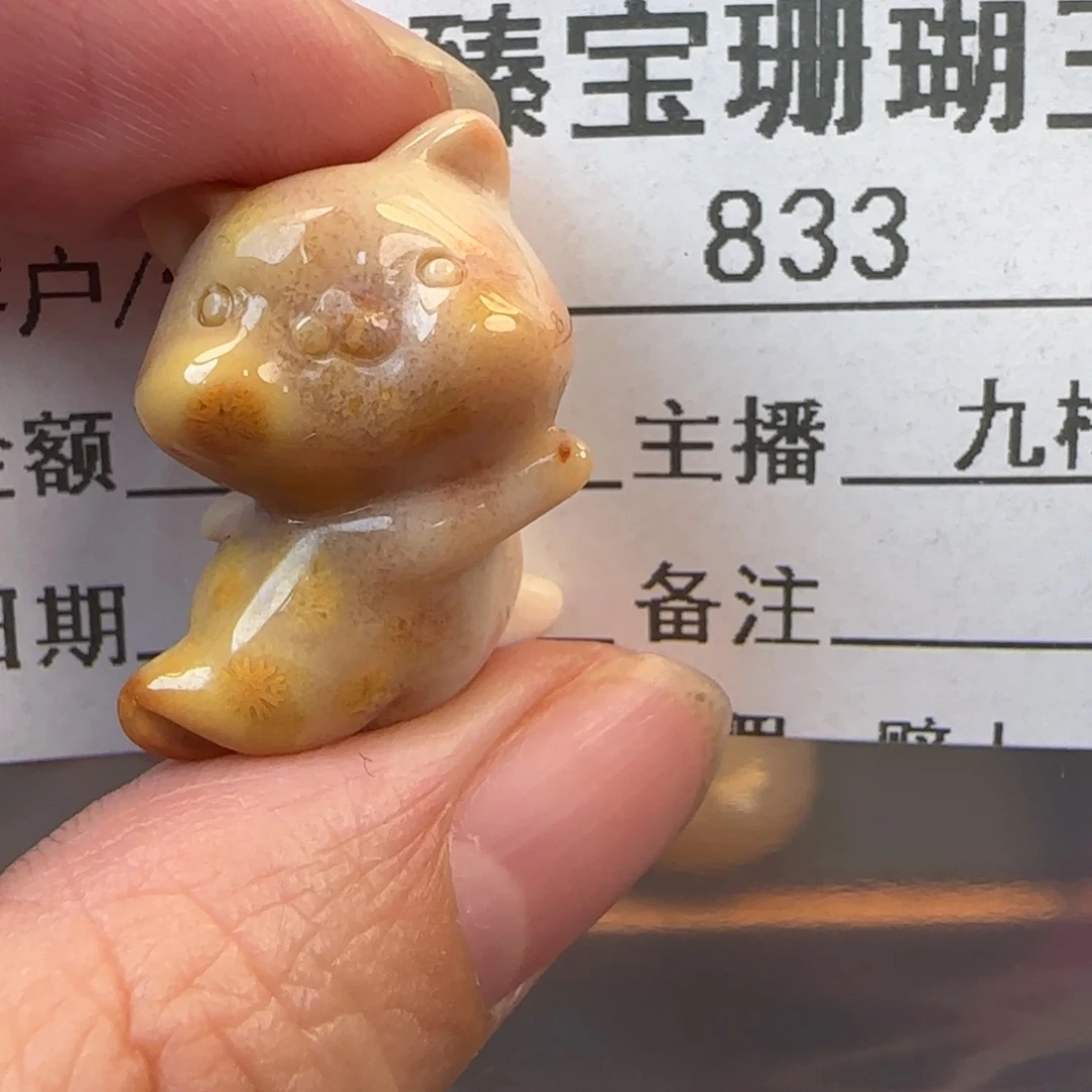 硅化珊瑚（珊瑚玉）未镶嵌颈饰