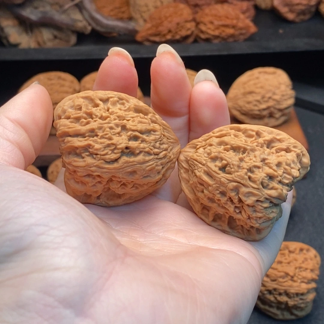 木质40天使之翼南疆