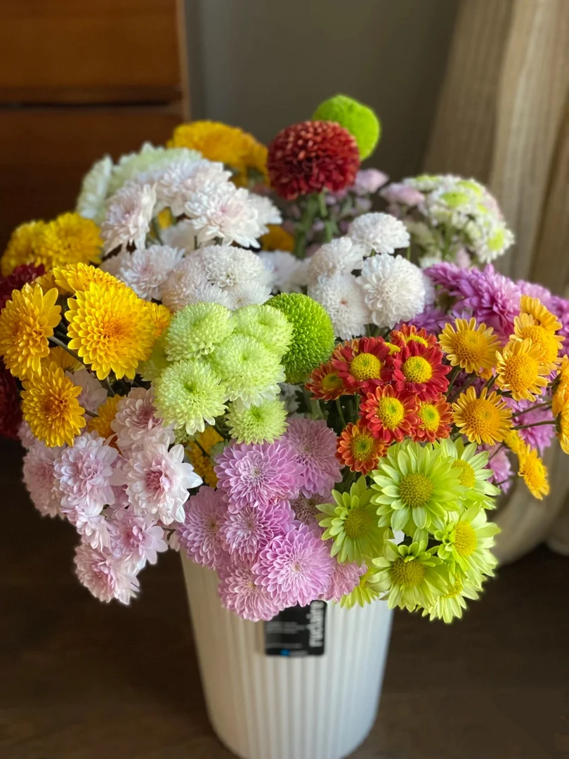 【10枝 混色小雏菊】  全场鲜花任意满2单及以上 升级顺丰包邮