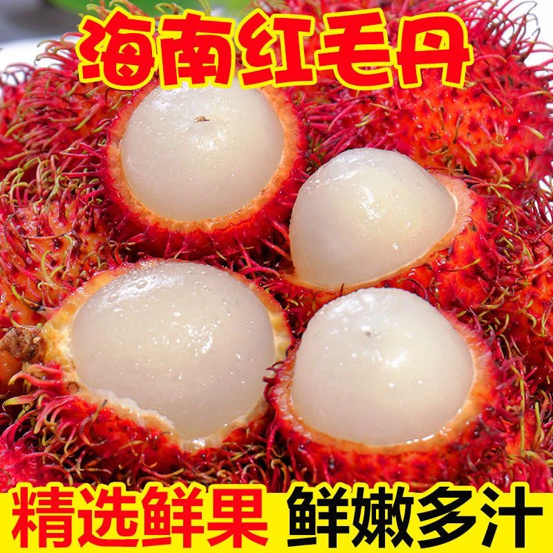 新鲜现摘当季红毛丹整箱发货清甜多汁多种品种可选空运一件批发