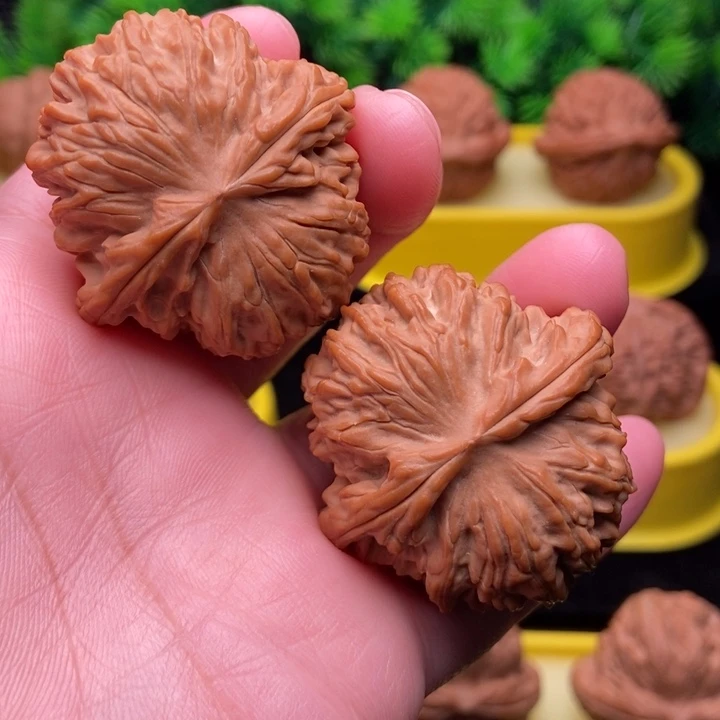 红豆元宝41全品111111