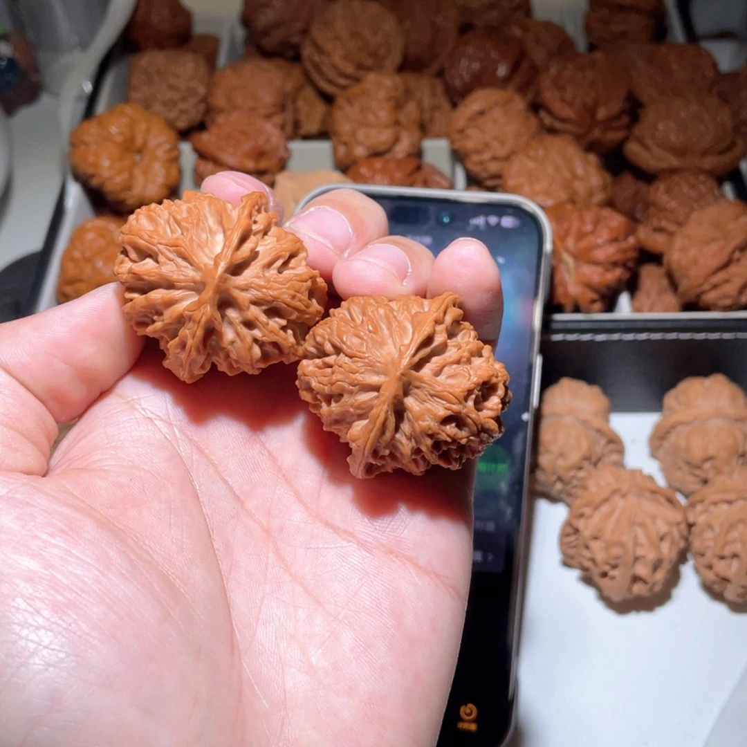 望*39尺寸苹果园狮子头