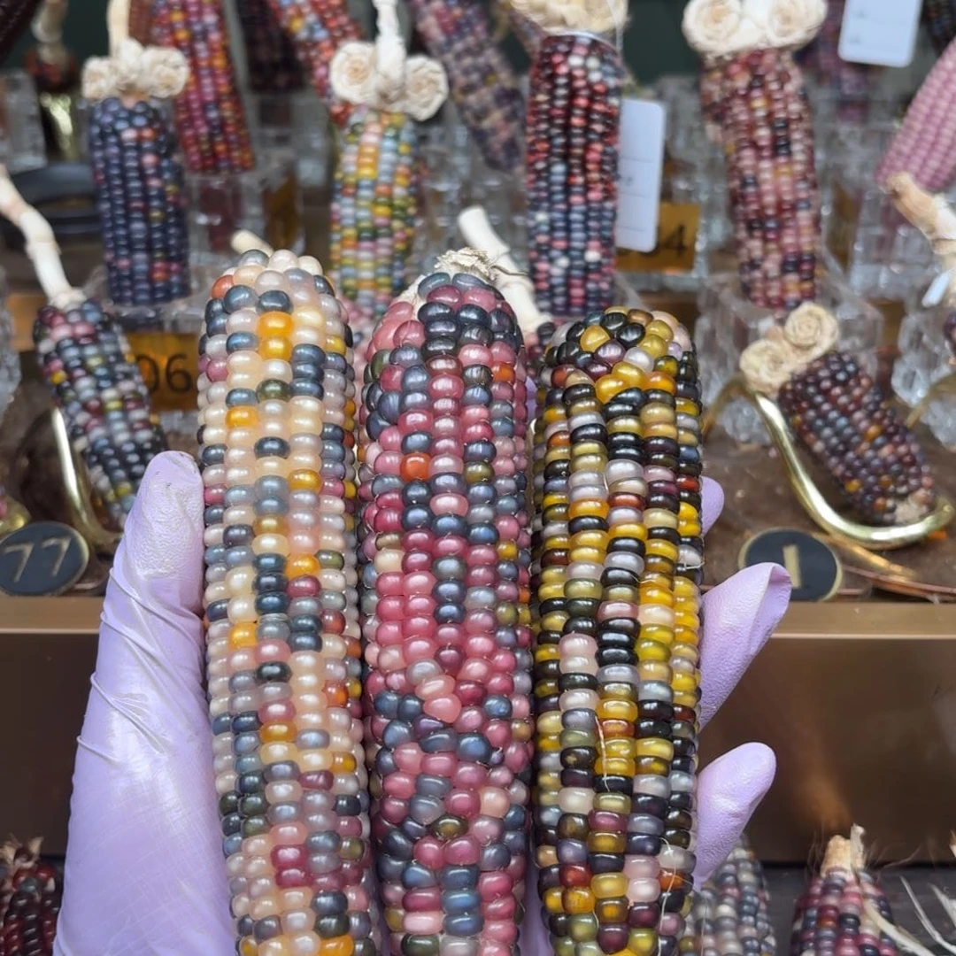 柏香籽/百香籽吊坠迷*