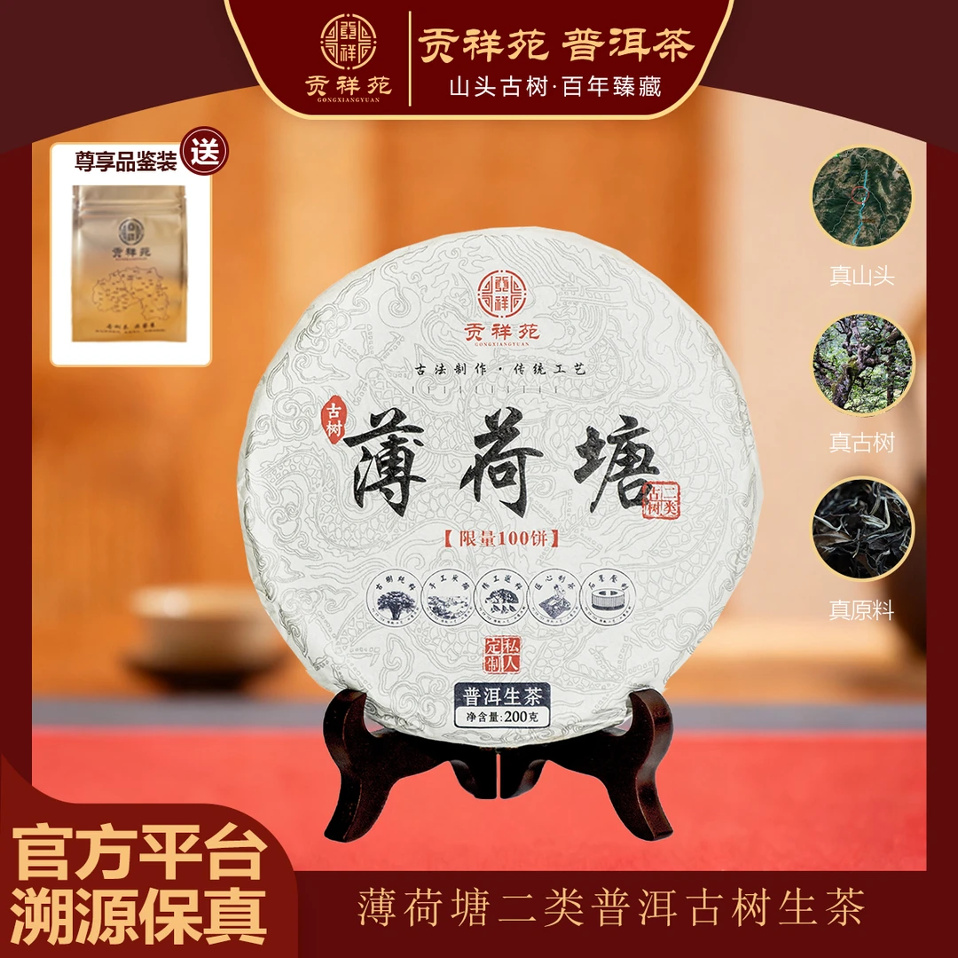 【贡祥苑】2022年正宗云南薄荷塘二类古树普洱生茶古树原料茶叶200g