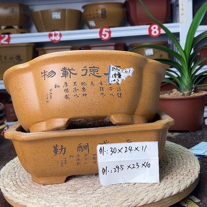 紫砂花盆蛇年大吉