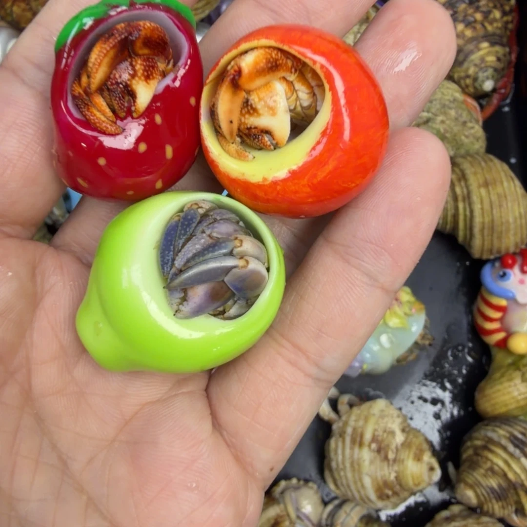 苹果梨士哆啤梨3件套