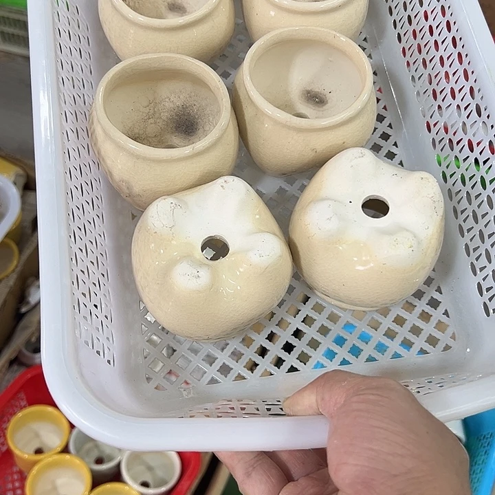 微瑕陶瓷花盆满9.9发