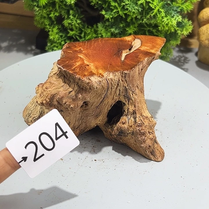 香榧木風**唐火琉璃……