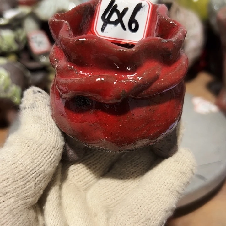 粗陶花盆，现在的支持