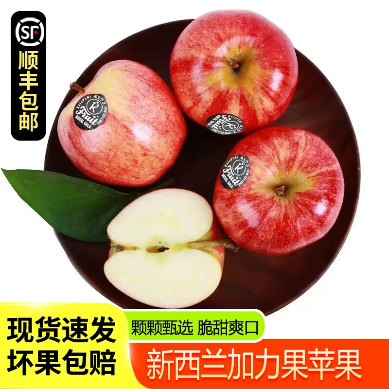 【顺丰包邮】新西兰加力果6-12粒单果150g左右新鲜嘎啦果孕妇水果