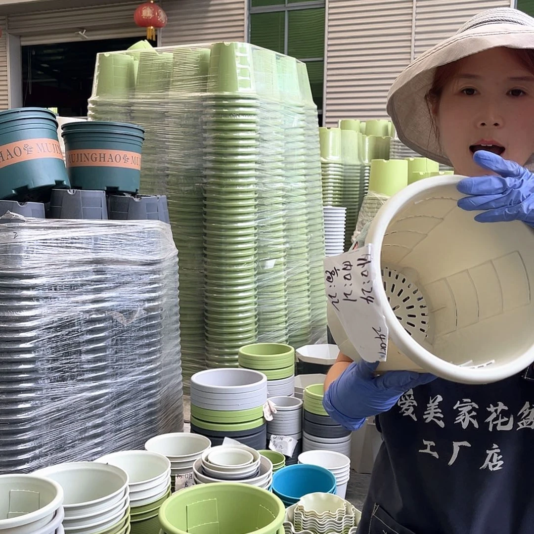 玫瑰盆240#米白色5个无托