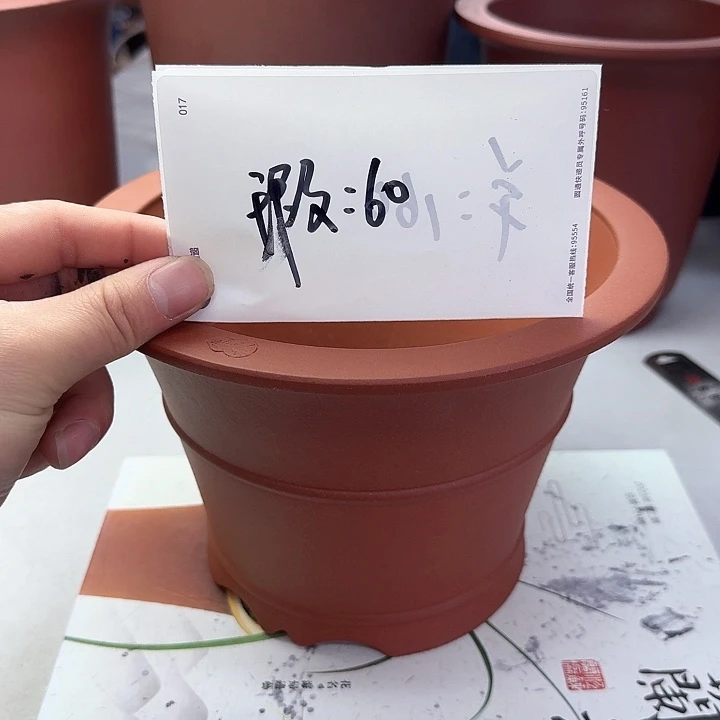 紫砂22222222222222222222