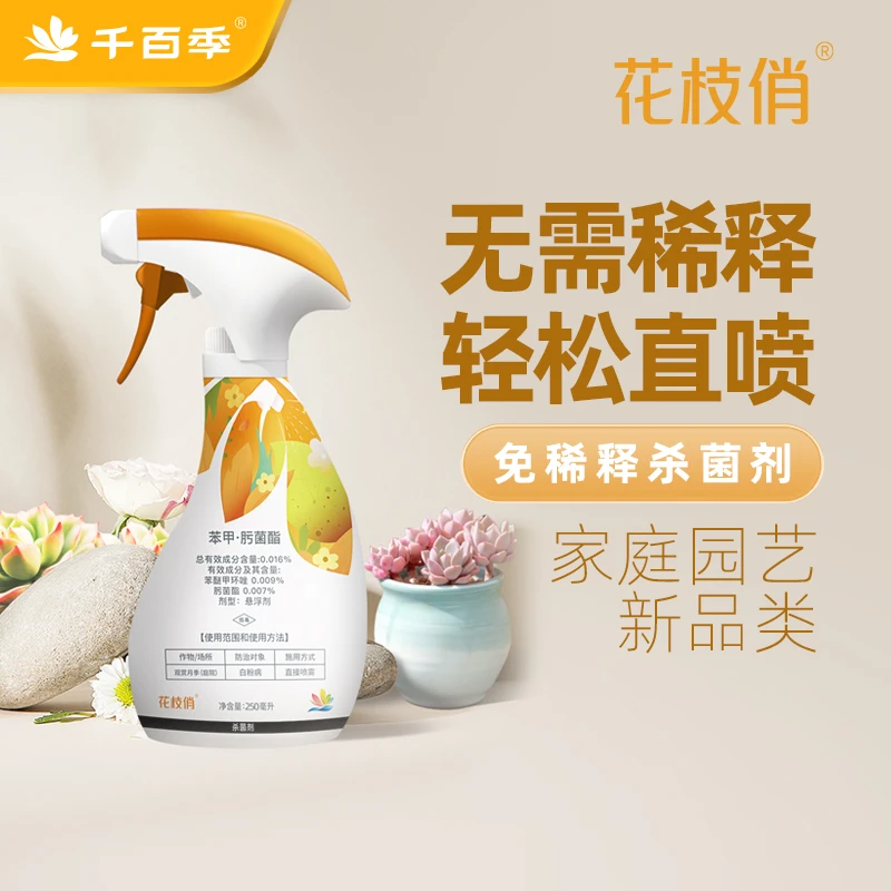花枝俏植物通用免稀释杀菌剂月季白粉病黑斑病花药除菌家用