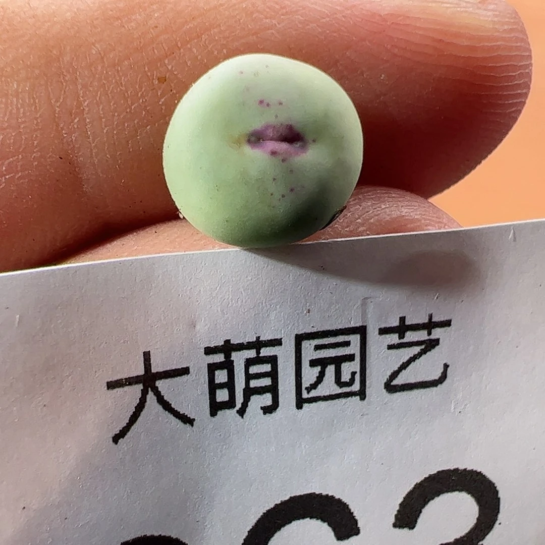 一物一拍。         963