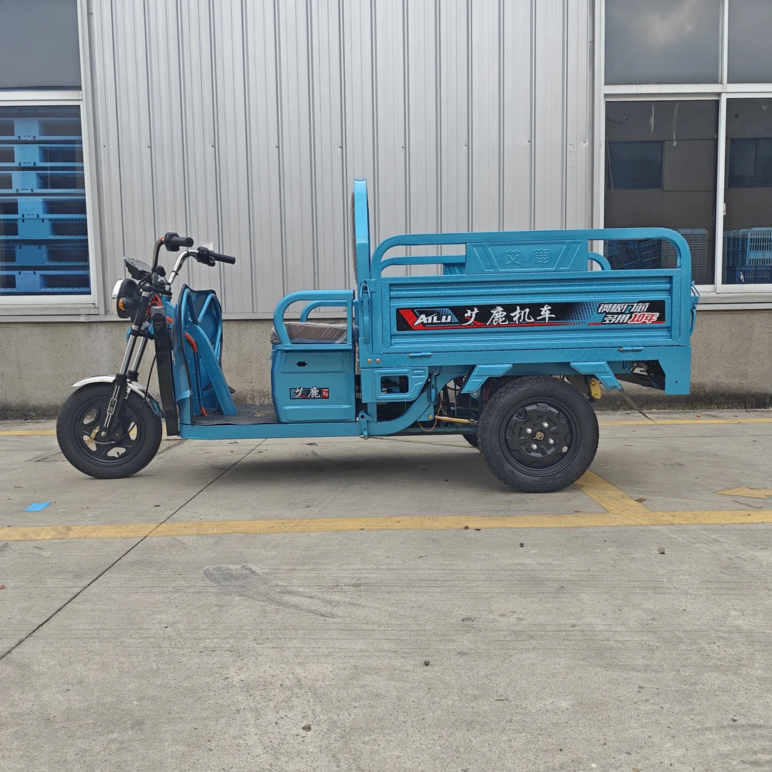 1米3车厢电动三轮车农用摆摊家用载货拉货三轮车