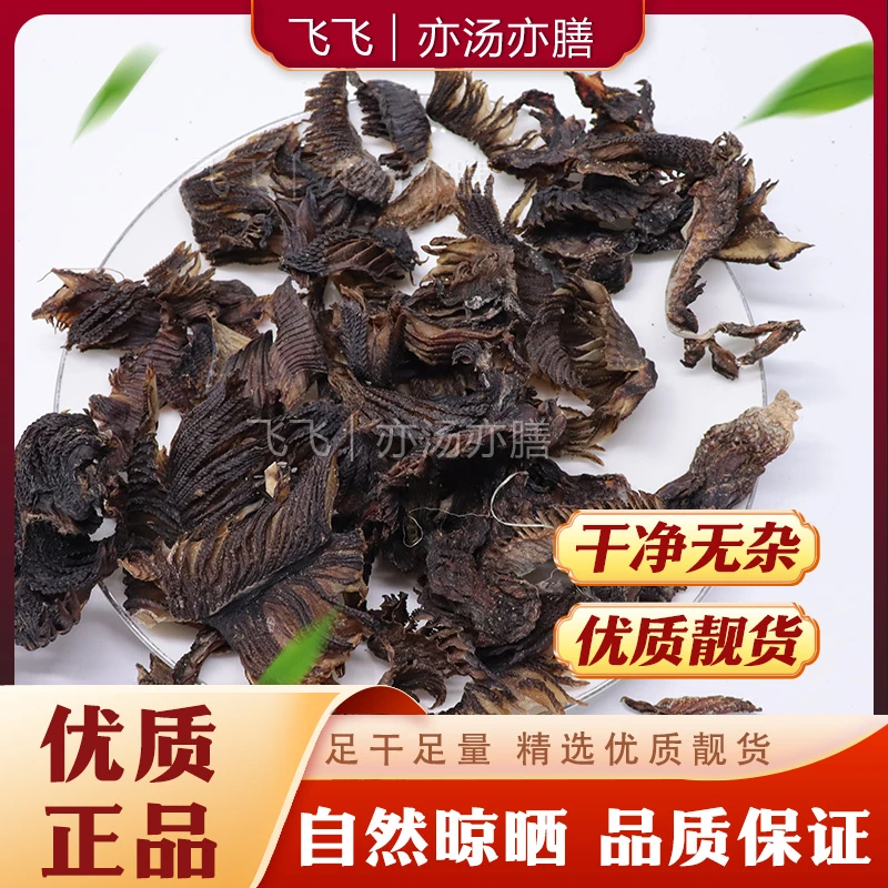 【飞飞精选】膨鱼鳃