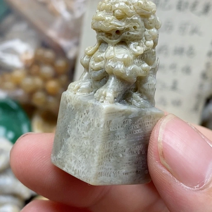 硅化珊瑚（珊瑚玉）未镶嵌颈饰