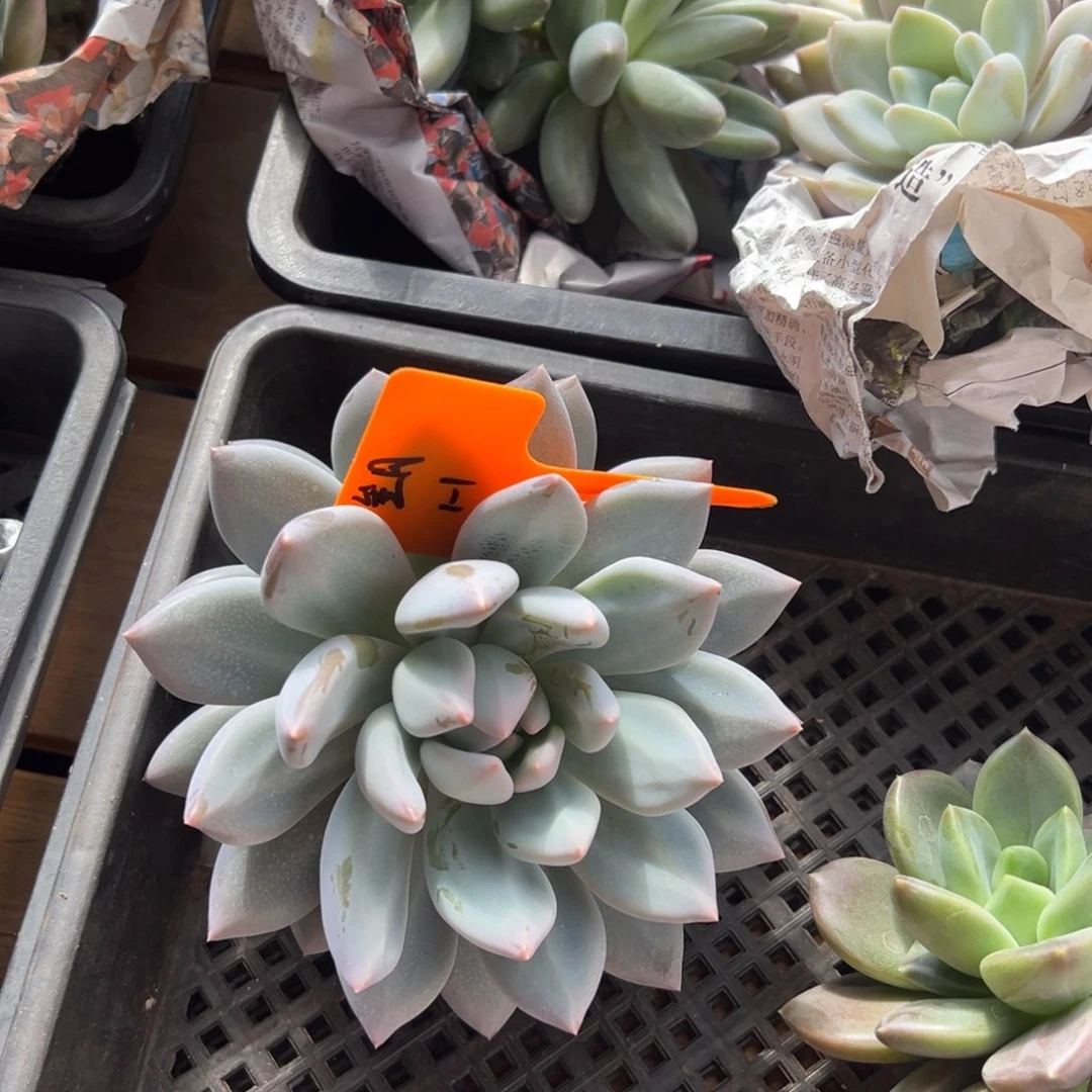 111111111111111111111111