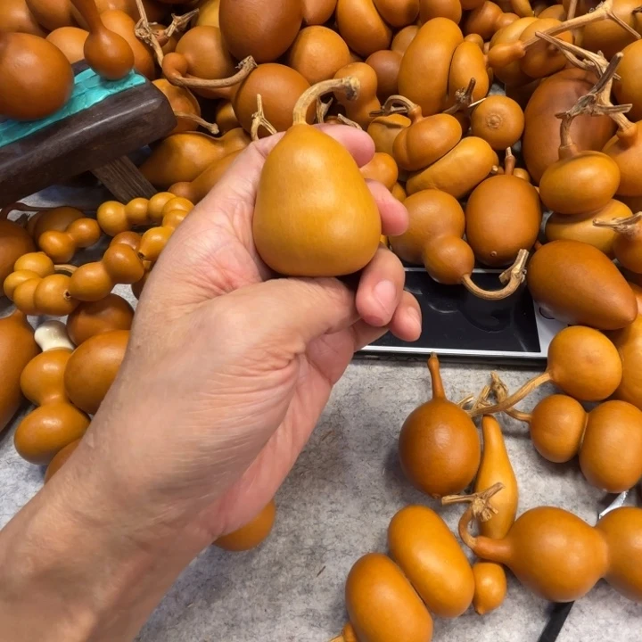 K**i黑黑的一把胖墩墩