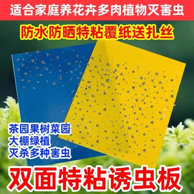 黄板双面粘虫板诱虫板黄色灭小飞虫沾果蝇针蜂粘板蓝板蓟马大棚