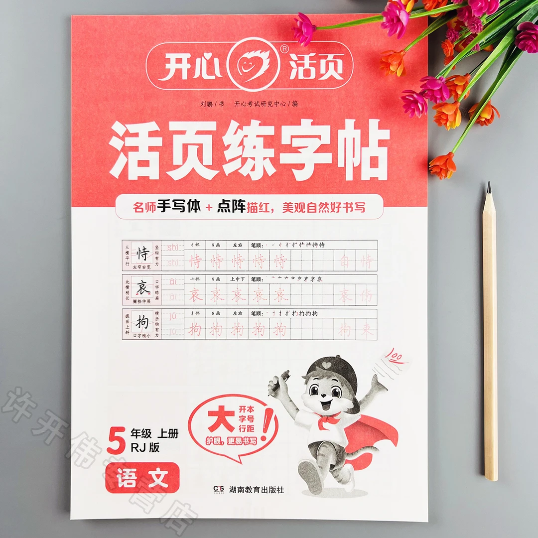 活页练字帖五年级上册同步练字帖人教版语文课本同步字帖描红临摹