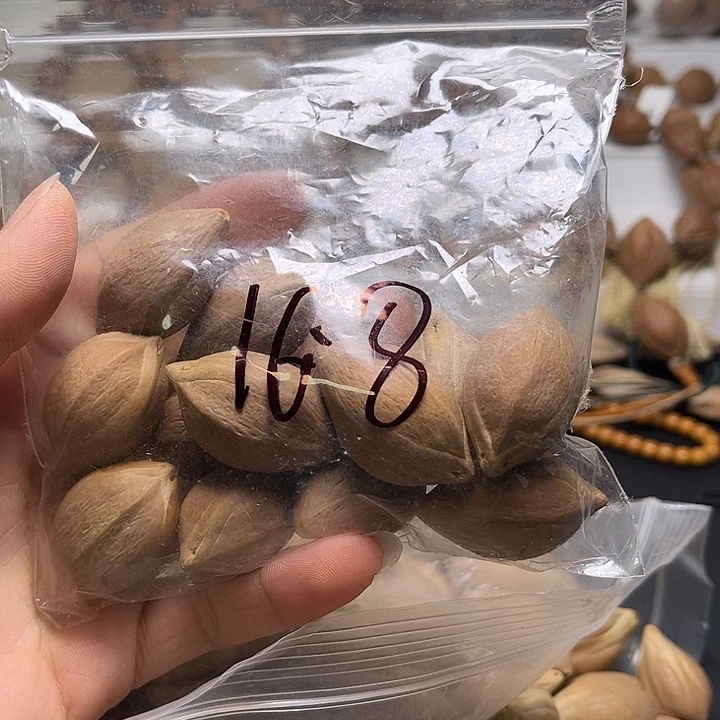 橄榄核手串/手链111