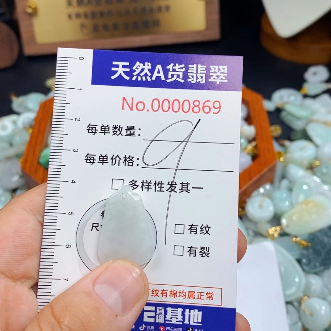 翡翠未镶嵌颈饰869