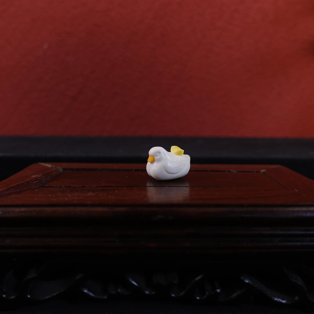 郭辰(省大) 猛犸牙有钱鸭单珠 Y1485